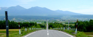 kodawari_road